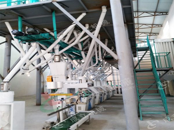 日產60噸小麥面粉機出口到烏茲別克斯坦